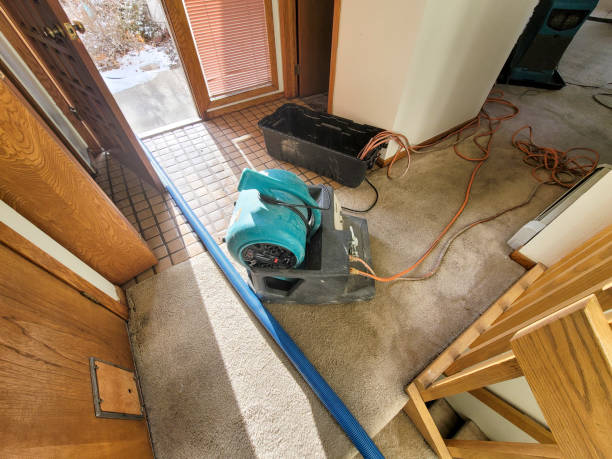 Best Commercial water damage restoration  in Maiden, NC