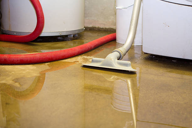 Best 24-hour water damage restoration  in Maiden, NC