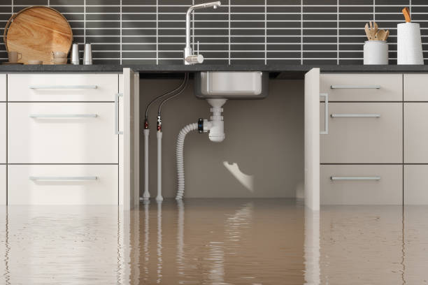 Best 24/7 water damage repair  in Maiden, NC